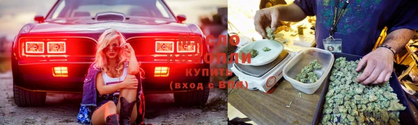 таблы Алзамай
