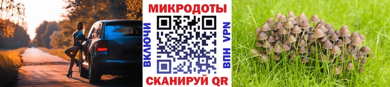 Галлюциногенные грибы Psilocybine cubensis  закладки  Родники 